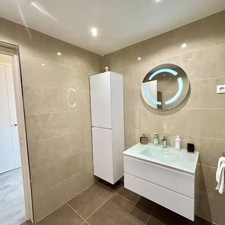 Vue Le Neptune Sanguinaires