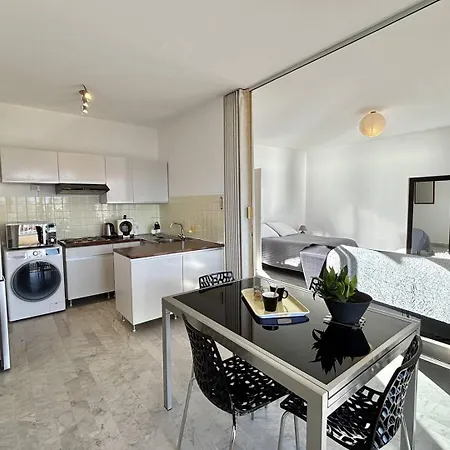 Vue Le Neptune Sanguinaires