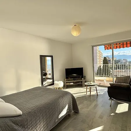 Vue Le Neptune Sanguinaires Appartement Ajaccio (Corsica)